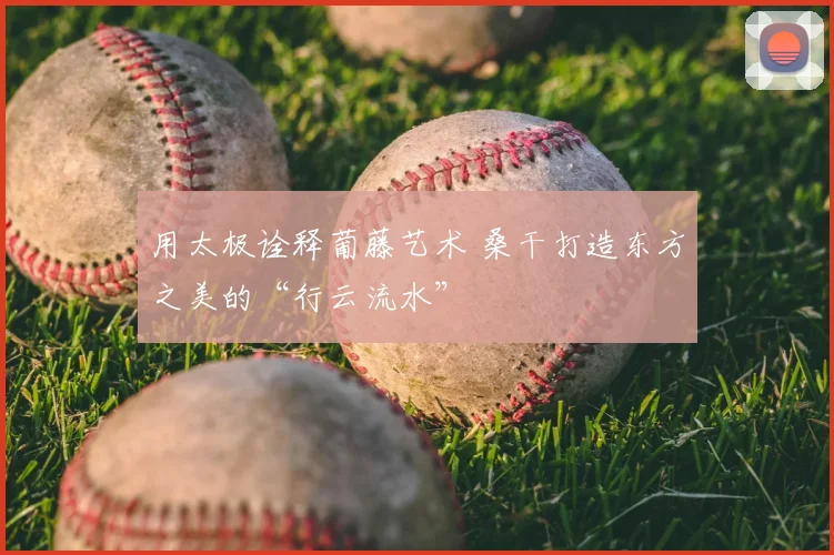 用太极诠释葡藤艺术 桑干打造东方之美的“行云流水”
