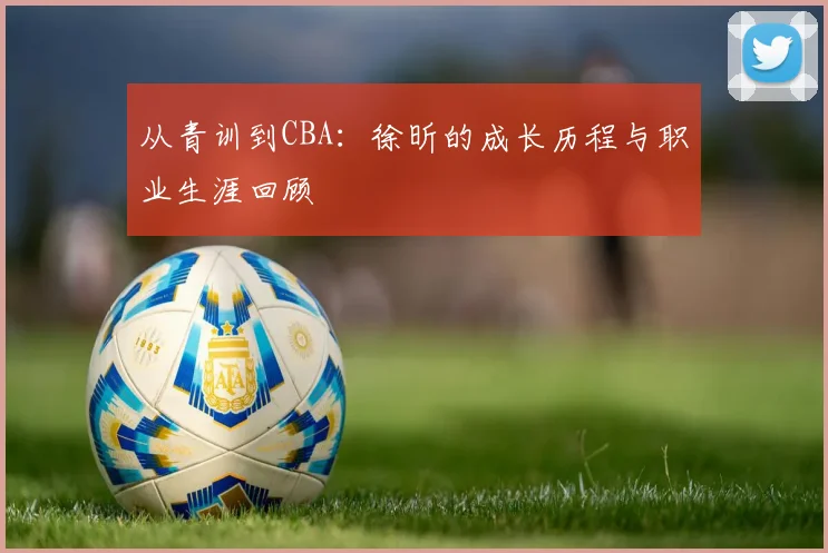 从青训到CBA：徐昕的成长历程与职业生涯回顾