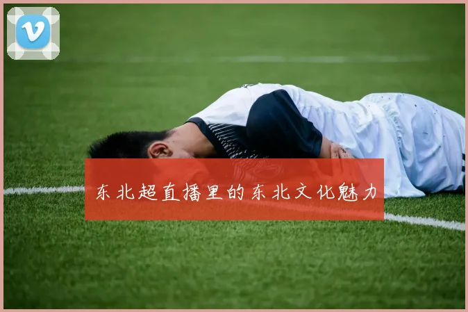 东北超直播里的东北文化魅力