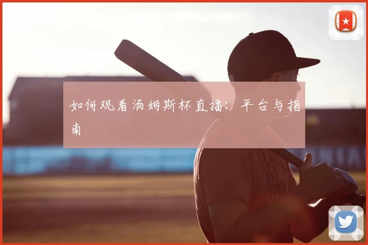 如何观看汤姆斯杯直播：平台与指南