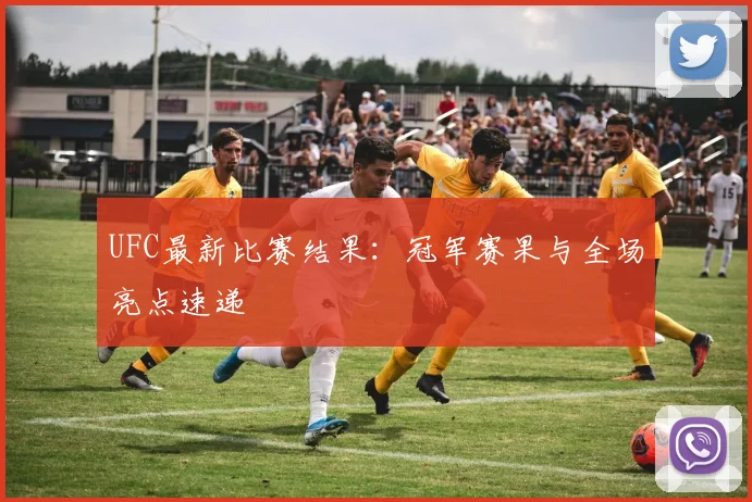 UFC最新比赛结果：冠军赛果与全场亮点速递
