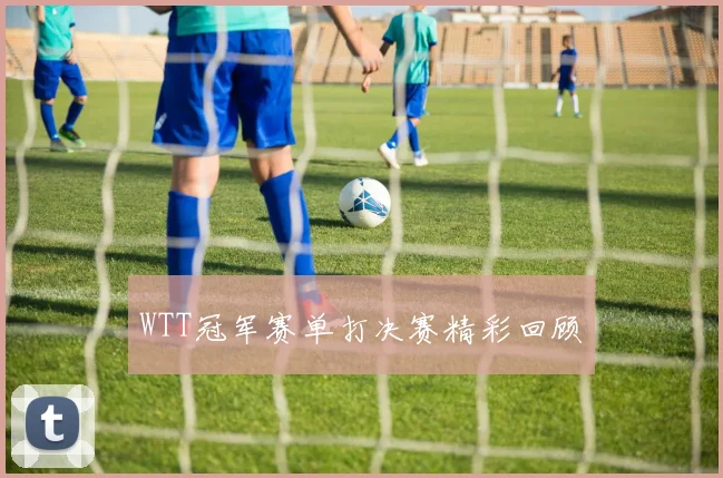 WTT冠军赛单打决赛精彩回顾
