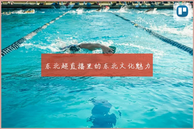 东北超直播里的东北文化魅力