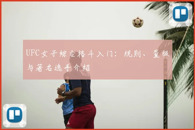 UFC女子综合格斗入门：规则、量级与著名选手介绍