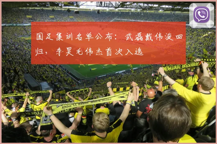 国足集训名单公布:武磊戴伟浚回归,李昊毛伟杰首次入选