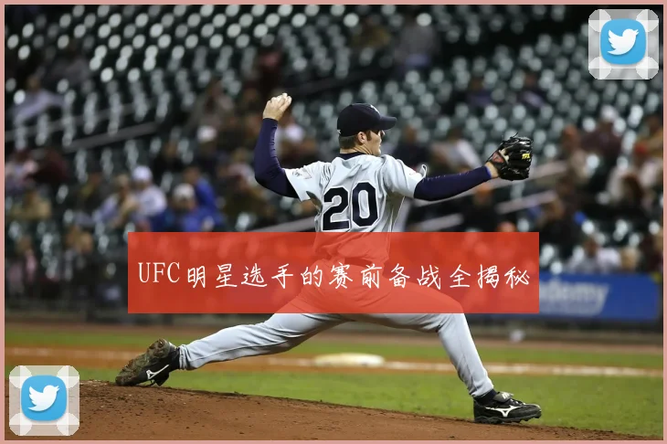 UFC明星选手的赛前备战全揭秘