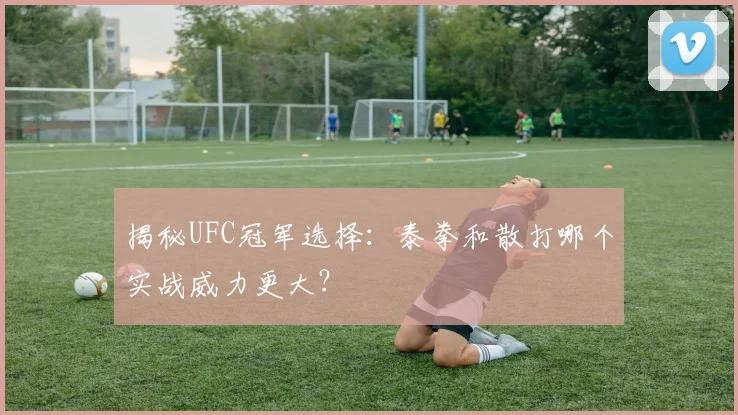 揭秘UFC冠军选择：泰拳和散打哪个实战威力更大？